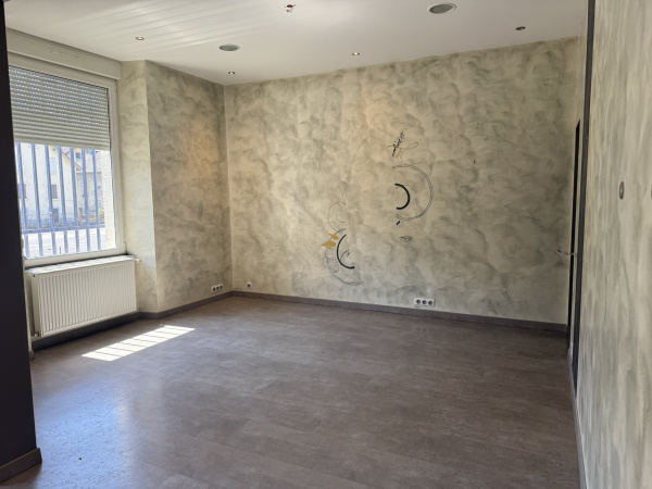 Location Immobilier Professionnel Local commercial Mandeure 25350